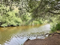 Along the bike/walking path…