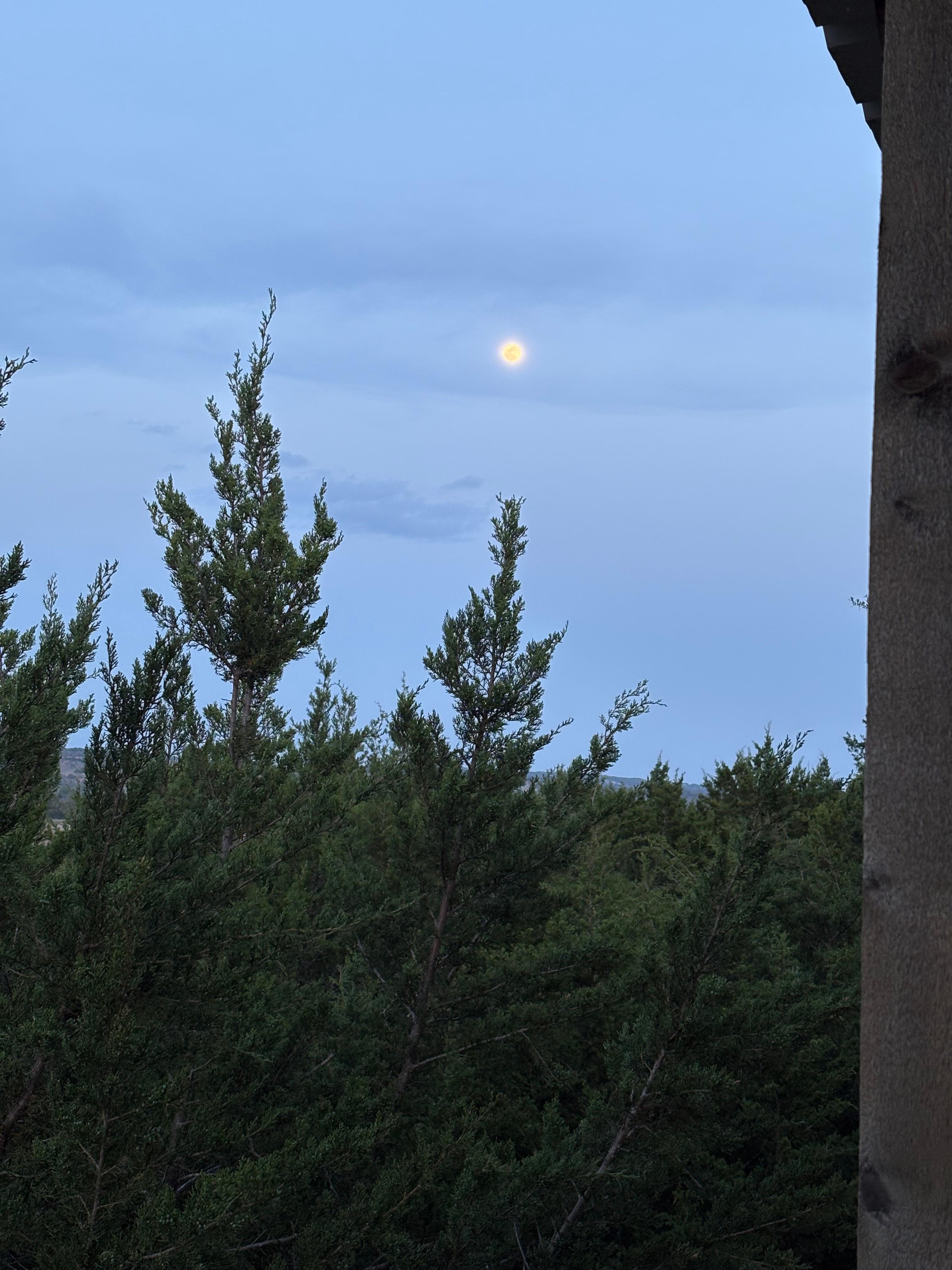 Full moon off the back porch. 