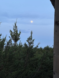 Full moon off the back porch.