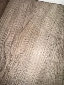 Hair on bathroom floor