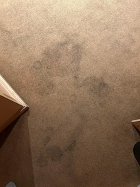 Stains throughout.