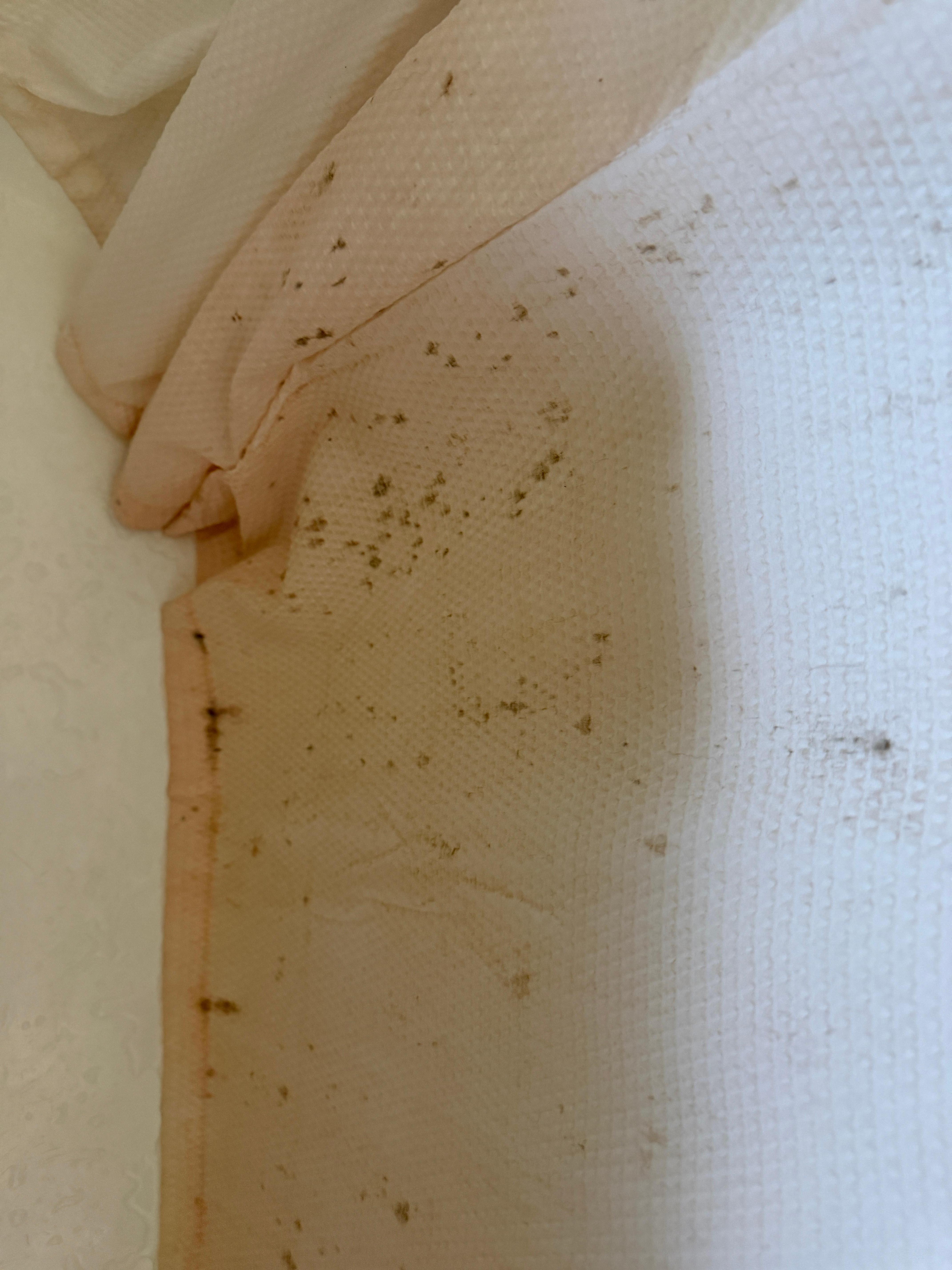 Mildew on the shower curtain