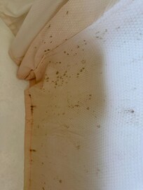 Mildew on the shower curtain