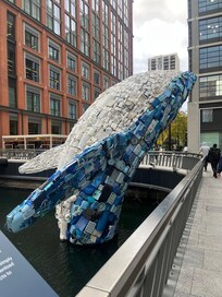 Whale outside