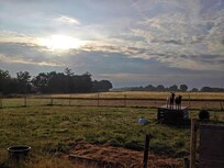 morgens vor dem Häuschen