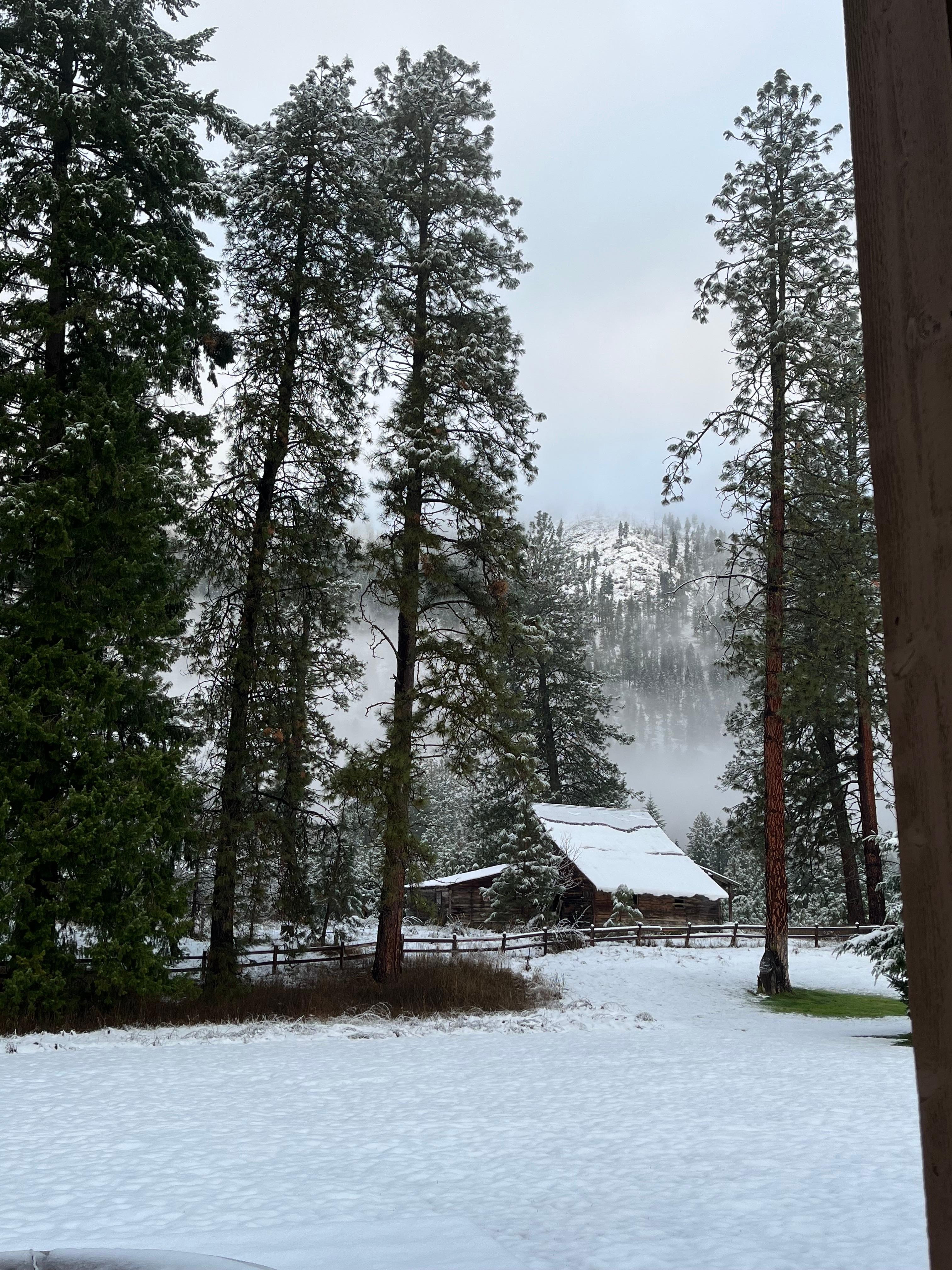 View in rear of house 