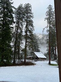 View in rear of house