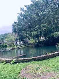 Caminata por el lago