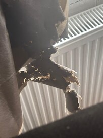 Gardinet er gået i stykker