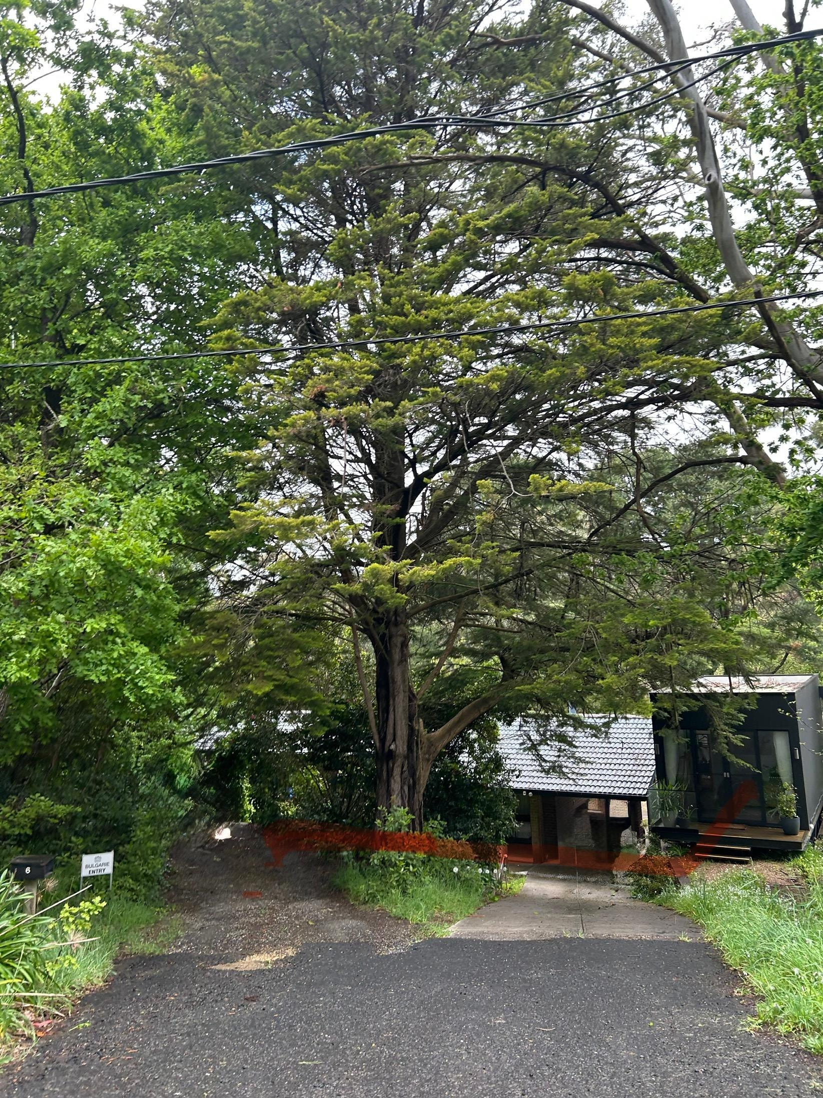 Where you are meant to park, navigate steps cross steep drive and get up to black shed