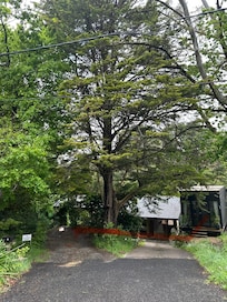 Where you are meant to park, navigate steps cross steep drive and get up to black shed