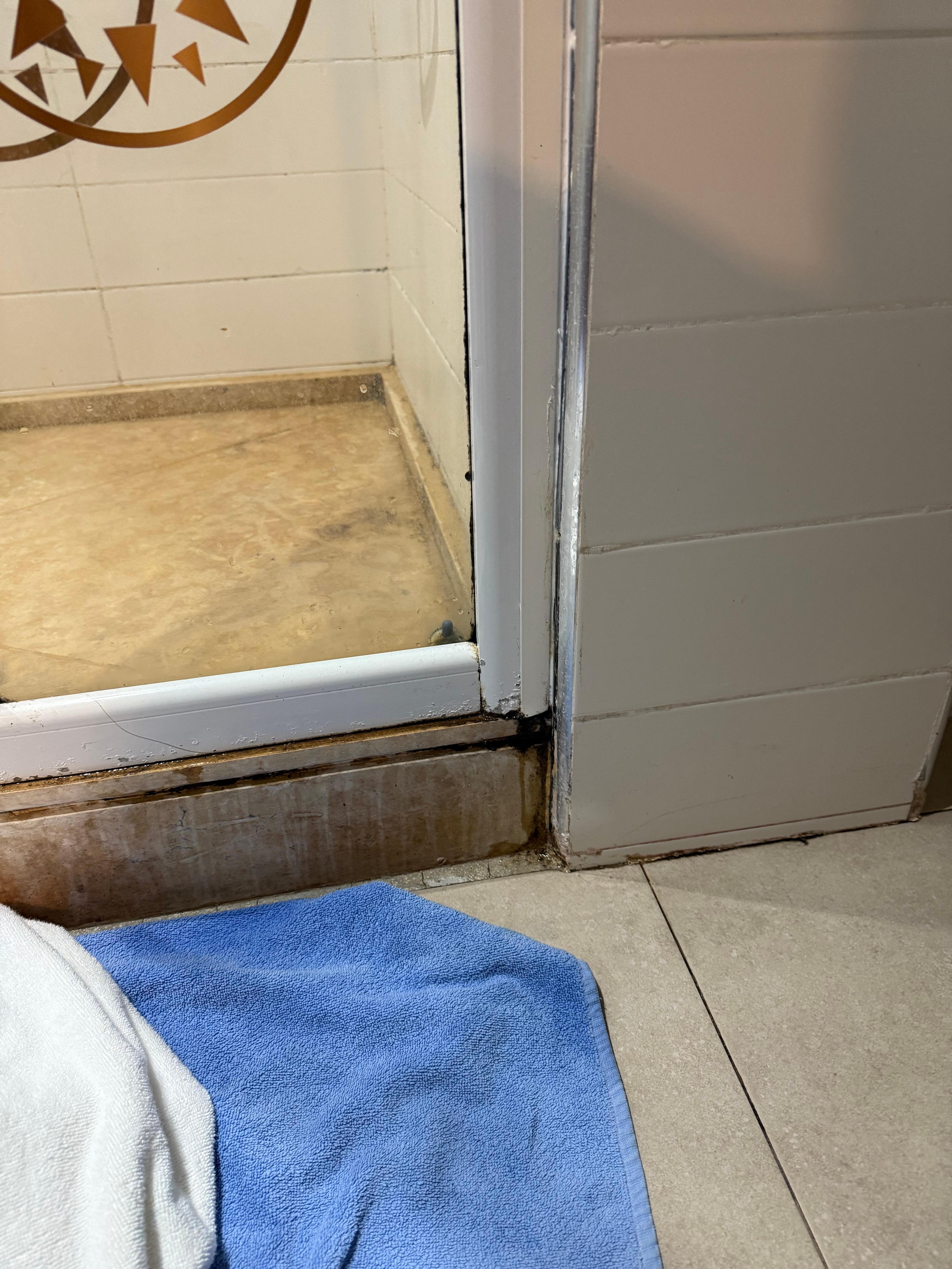 Mold