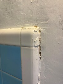 Mold in the bathroom