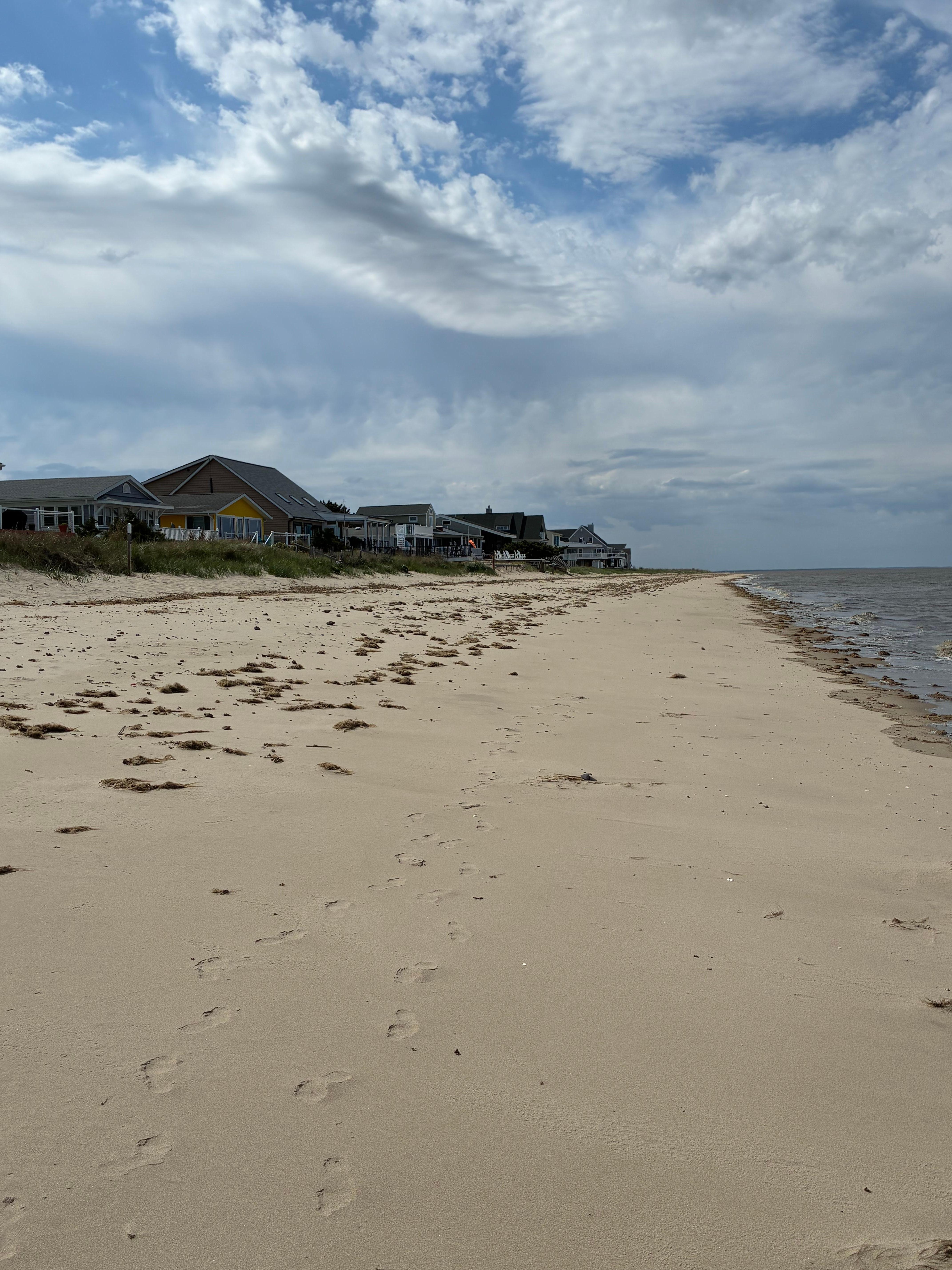 It felt like you had the whole beach to yourself.