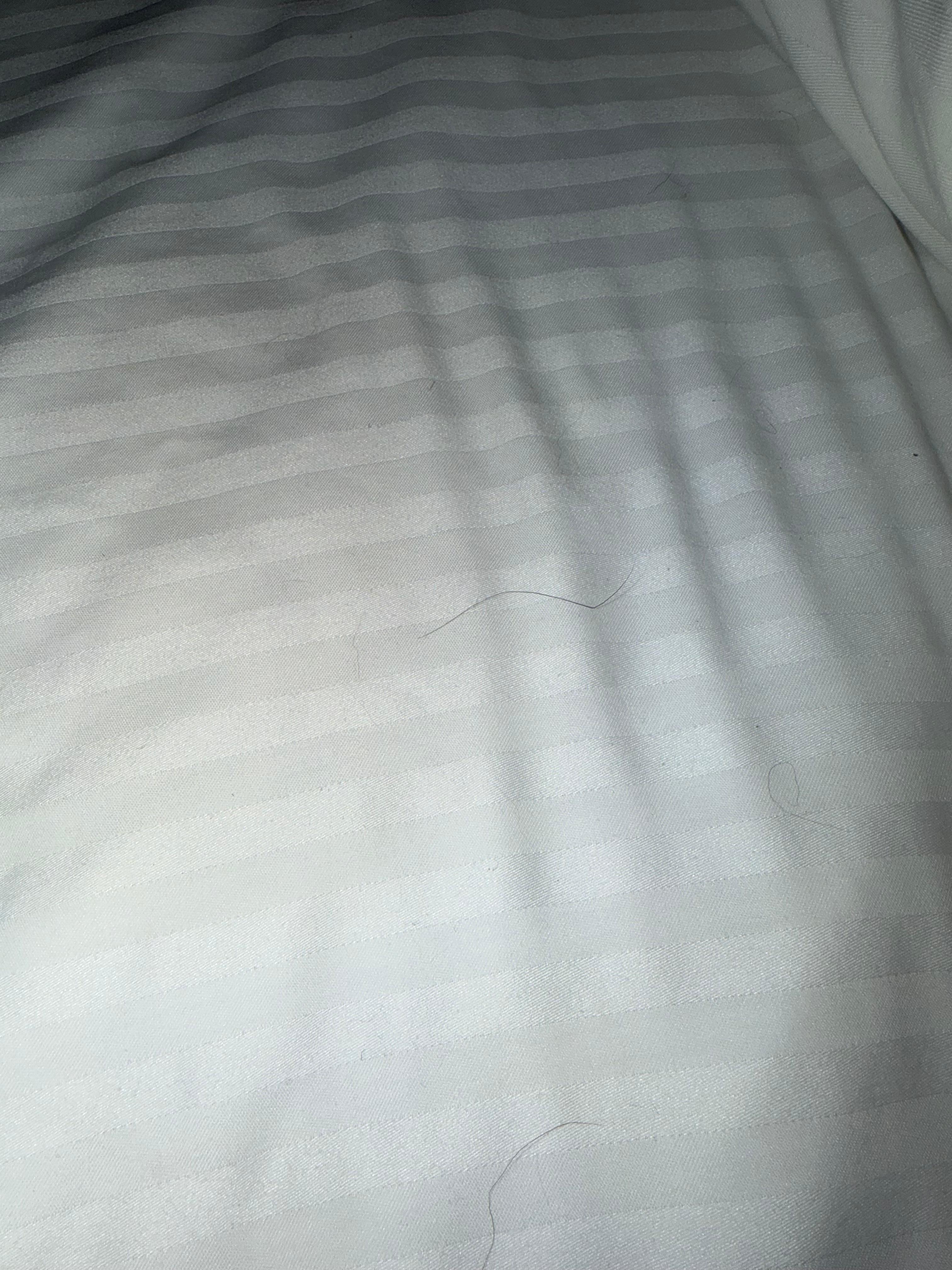 Hairy bed. Could get ahold of anyone and had exhausted children so had no choice but to go to bed unfortunately. 