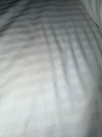 Hairy bed. Could get ahold of anyone and had exhausted children so had no choice but to go to bed unfortunately.