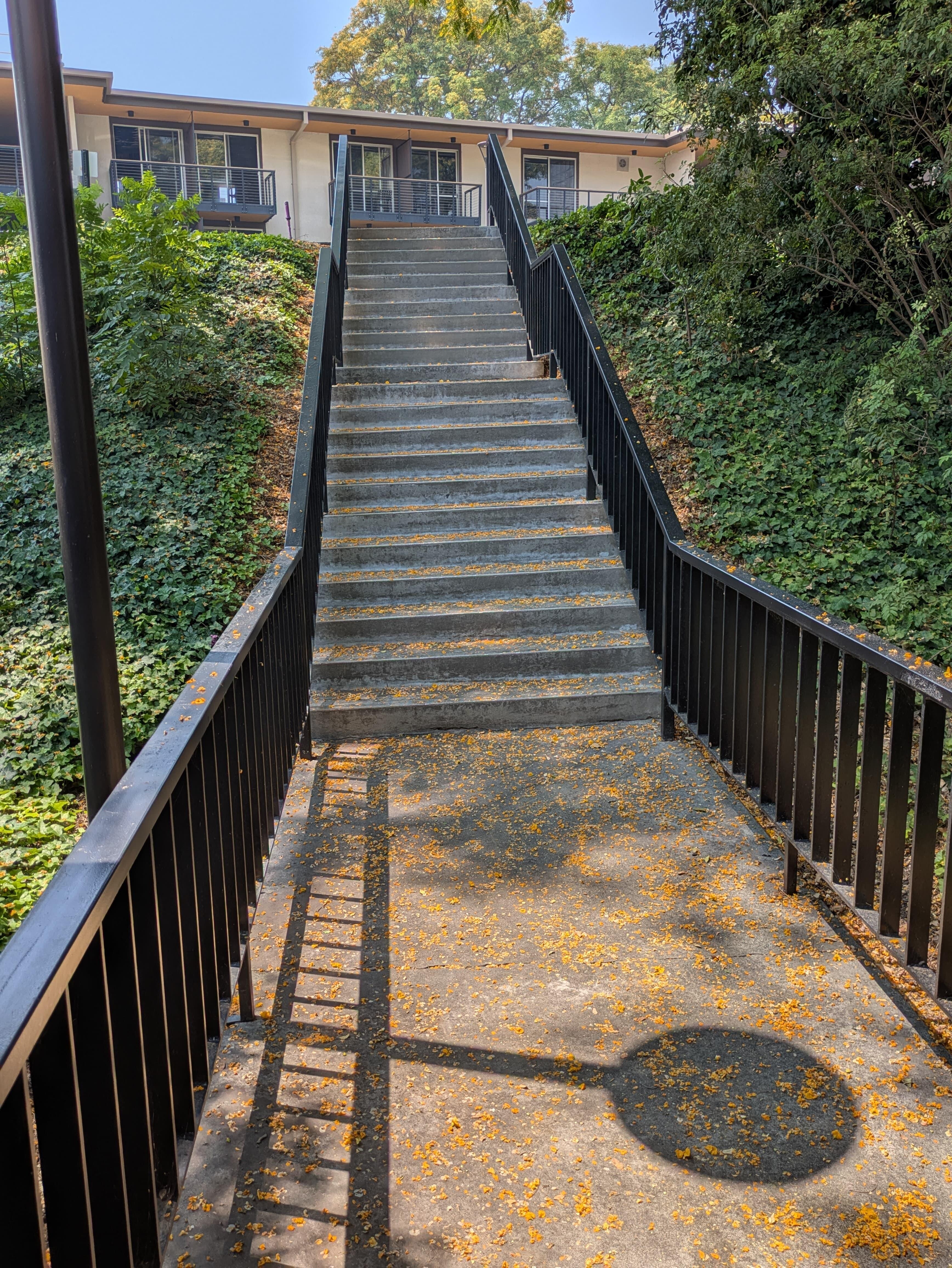 View from bottom of the stairs to parking lot.