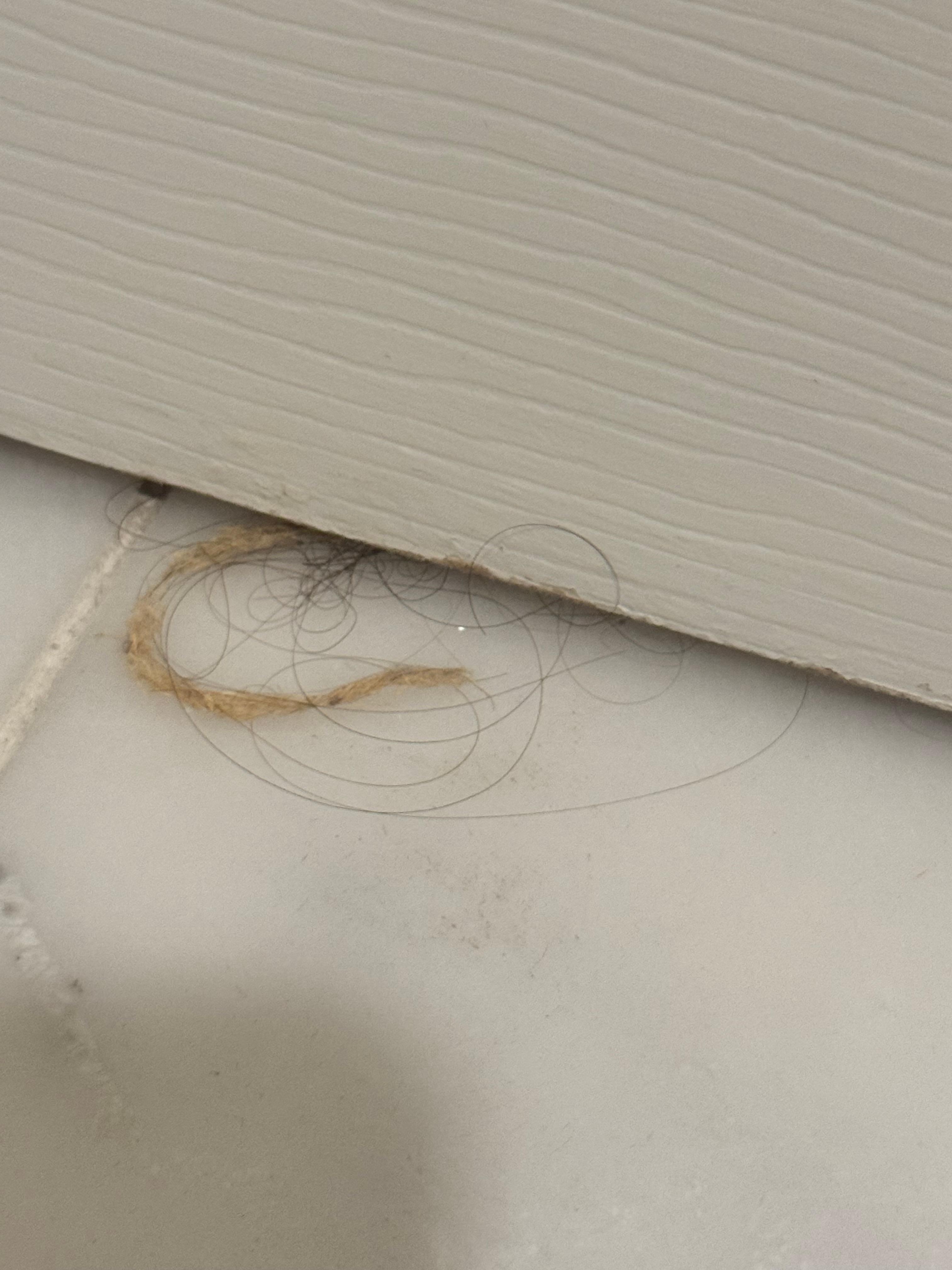 Someone's hair in the bathroom