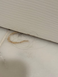 Someone's hair in the bathroom