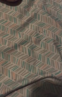 Ants in the bed.
