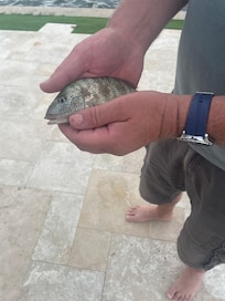 Fishing from the dock