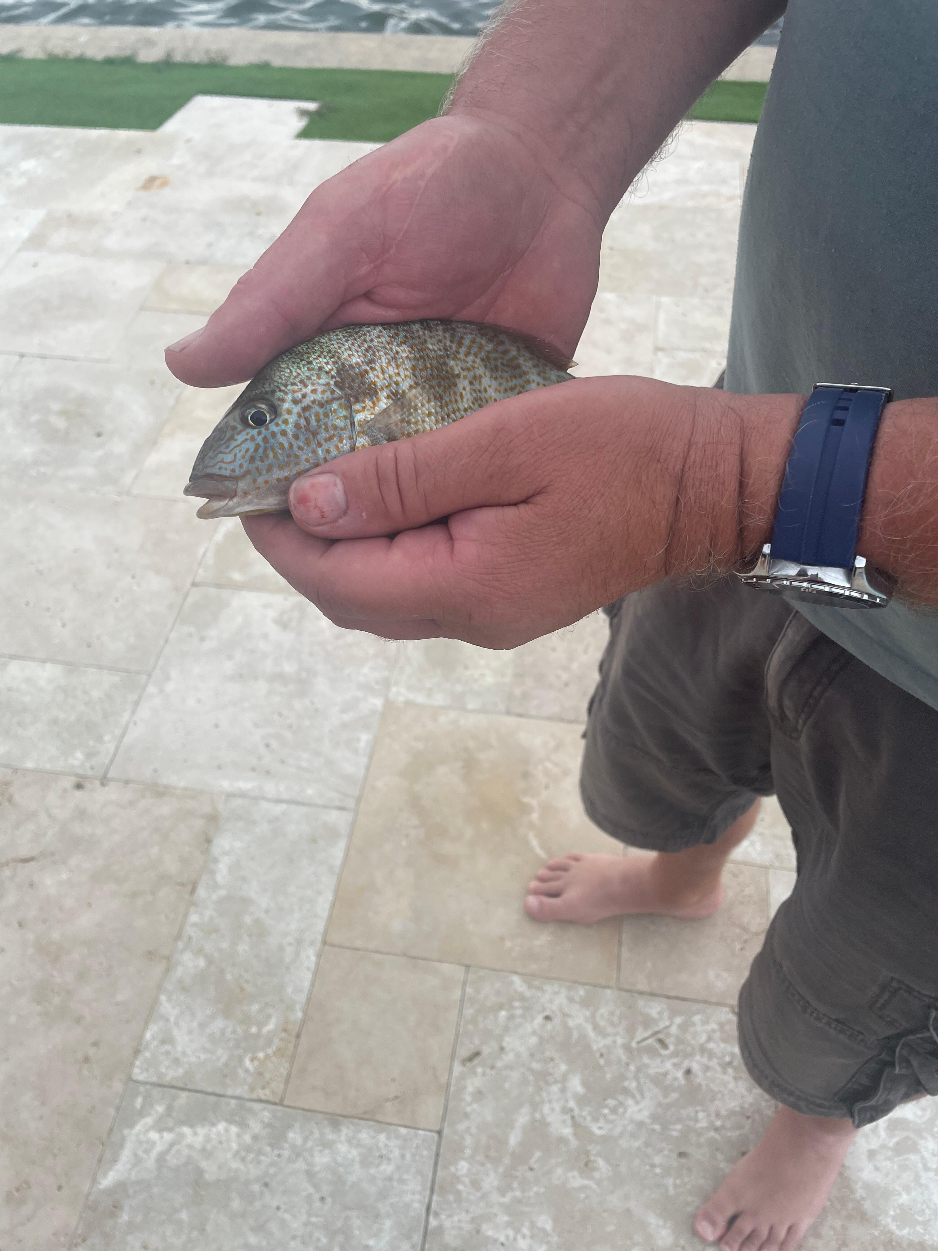 Fishing from the dock