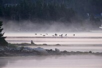 Early morning view from the cottage