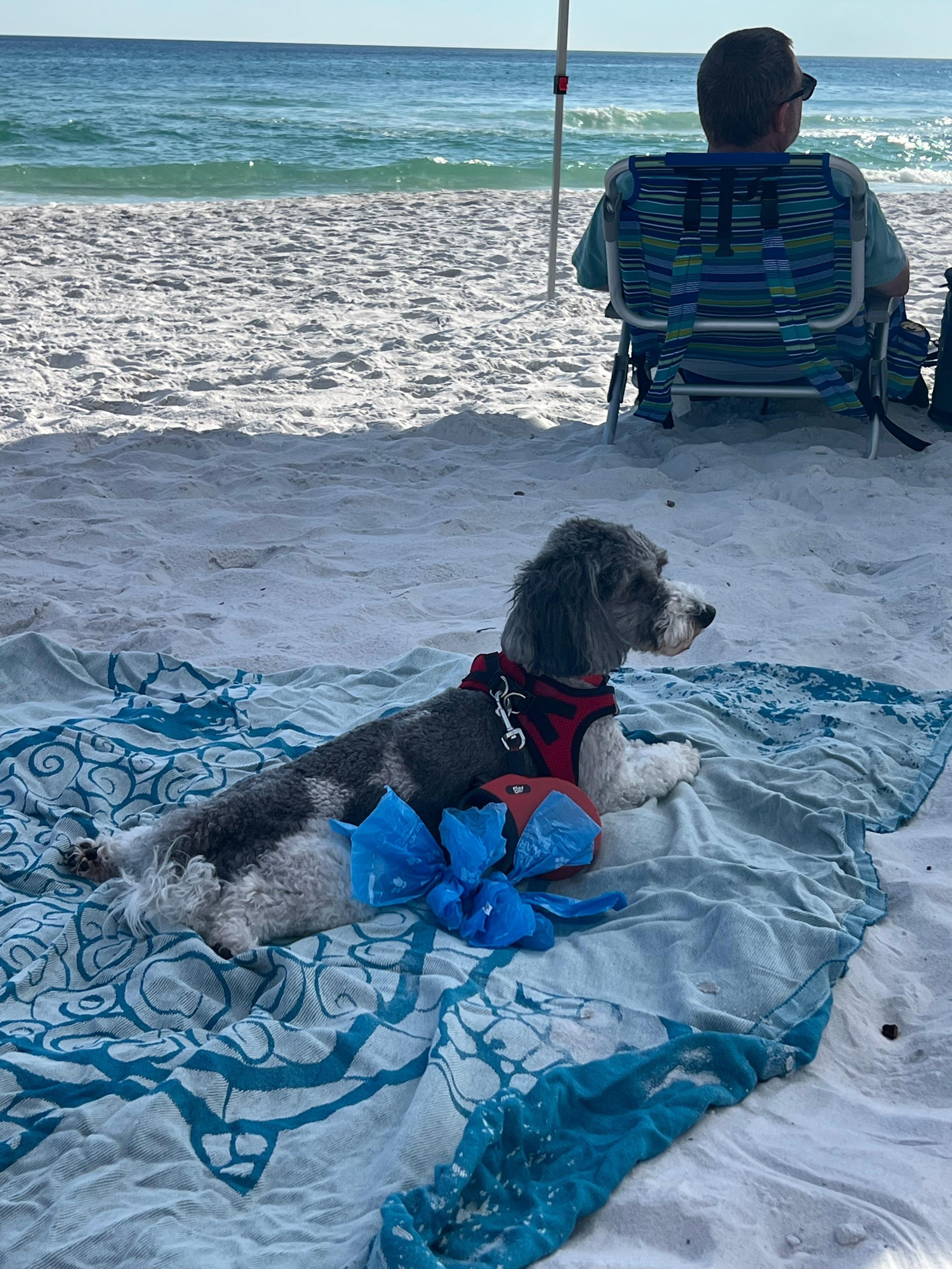 Tucker living his best life 