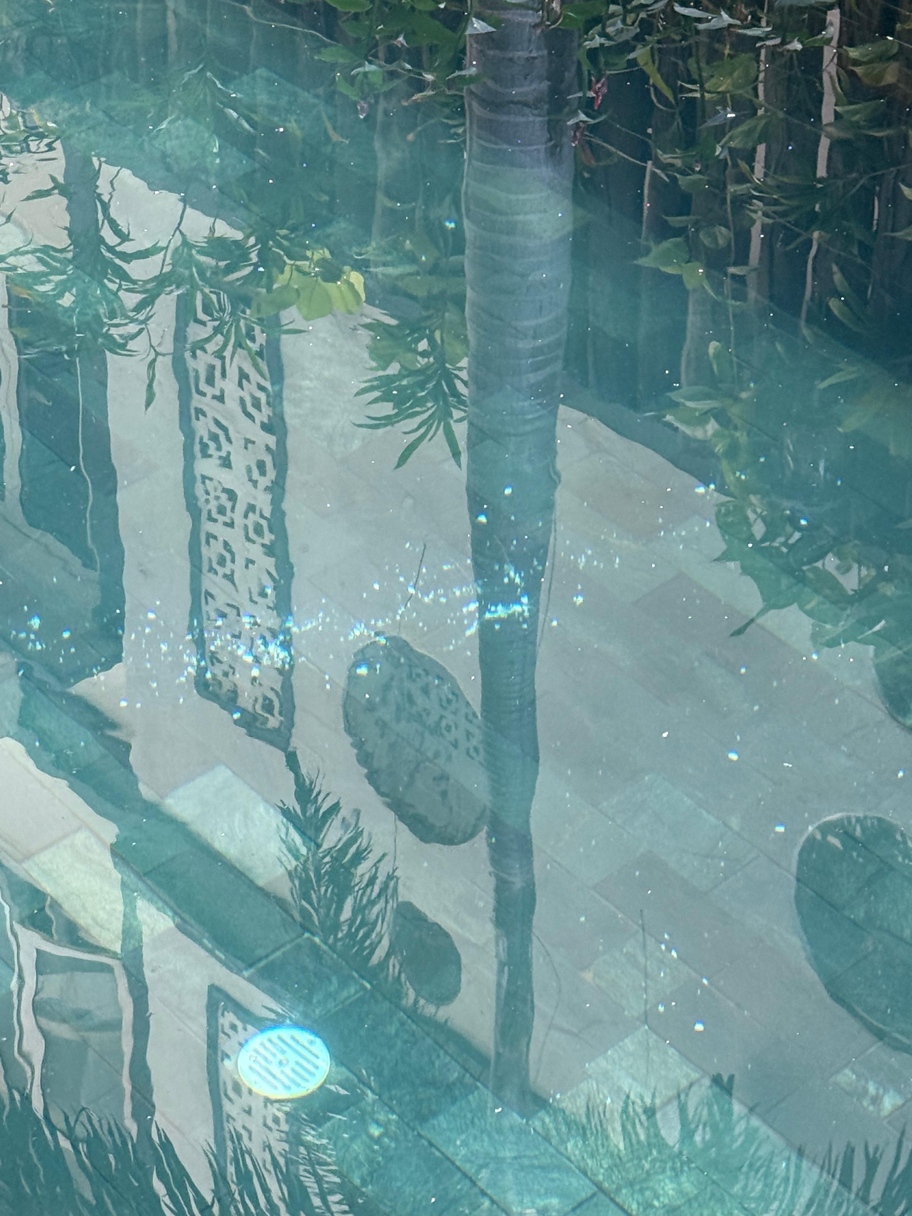 Construction debris in the pool 