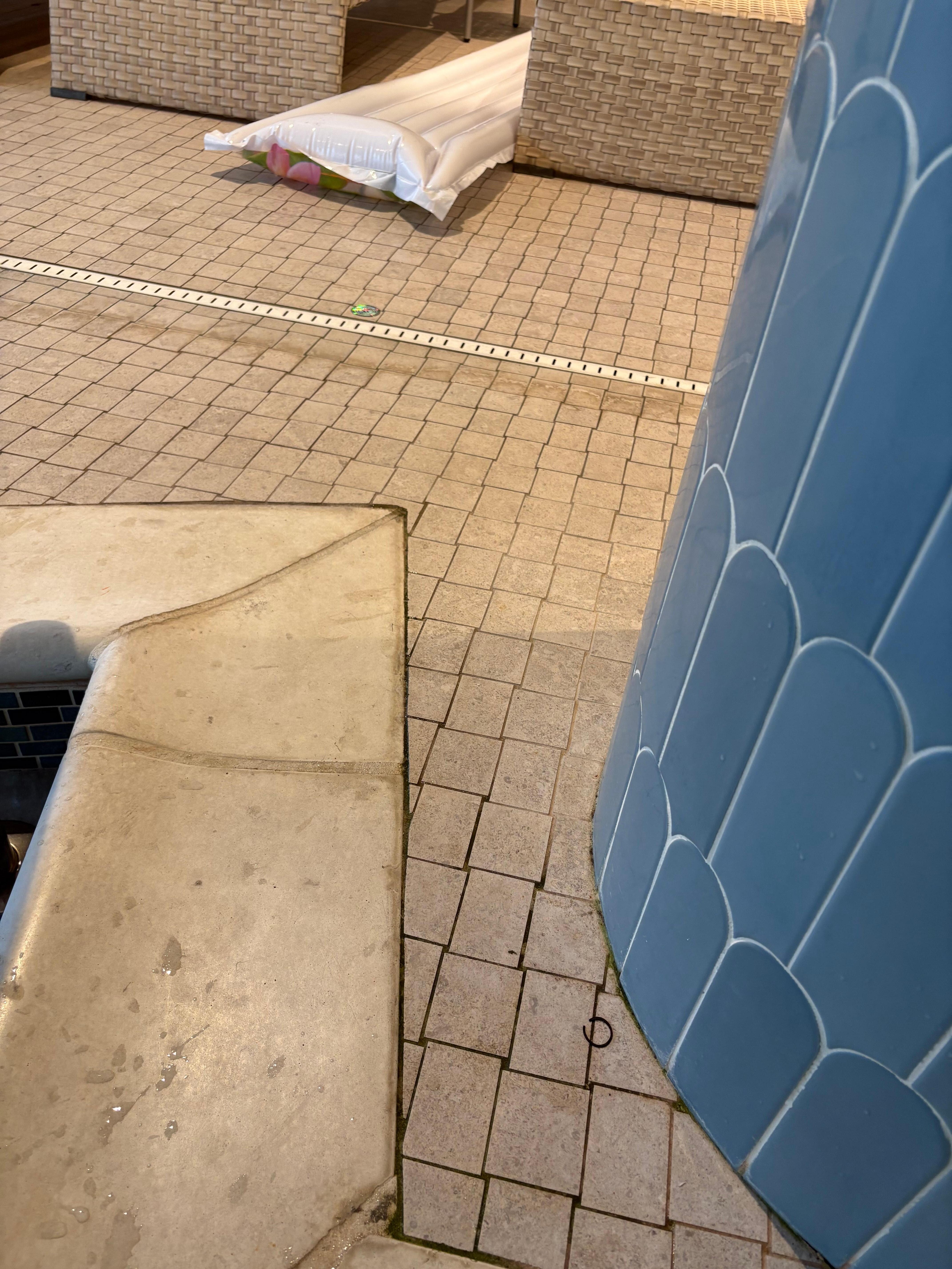 Indoor pool floor. Slimy and smelly.