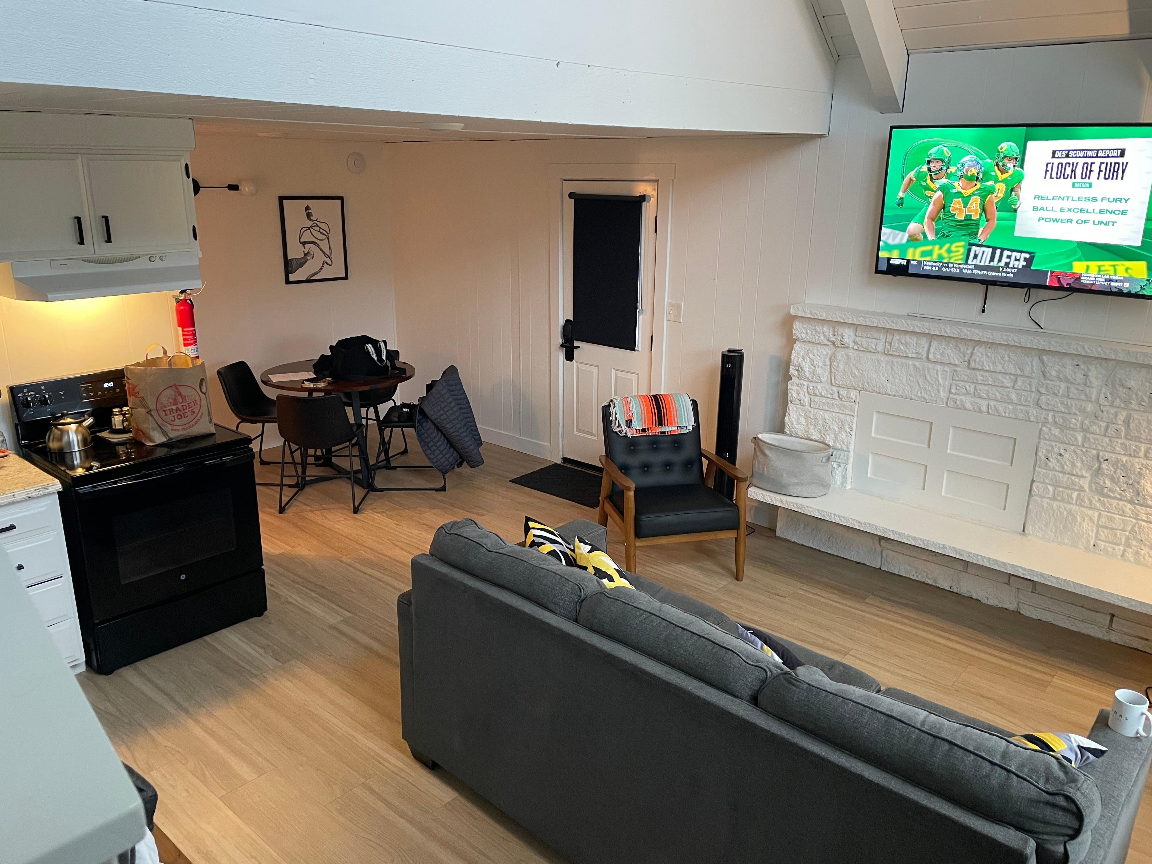 Downstairs room with pullout couch