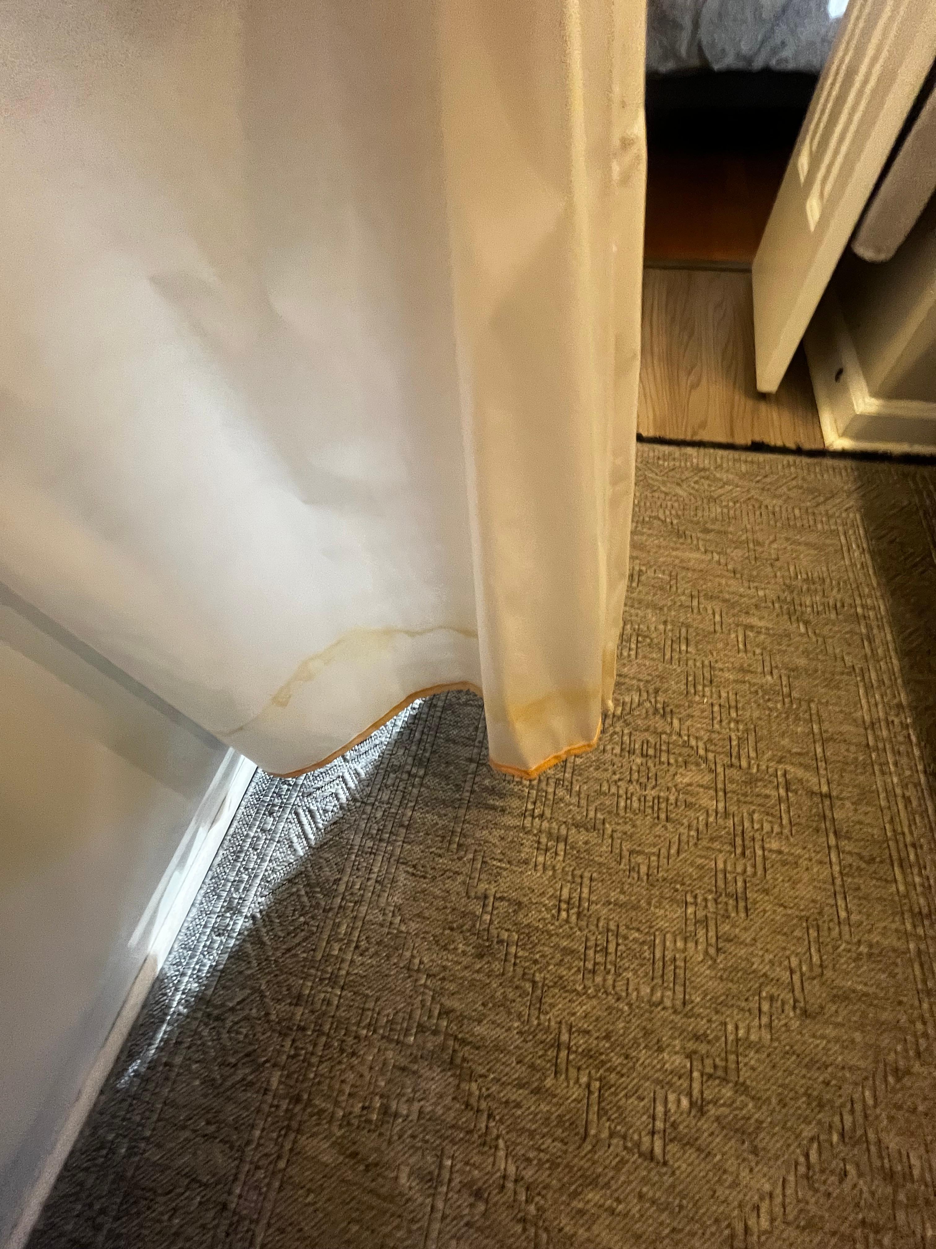 Shower curtain