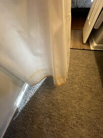 Shower curtain