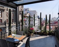 Rooftop garden & restaurant view