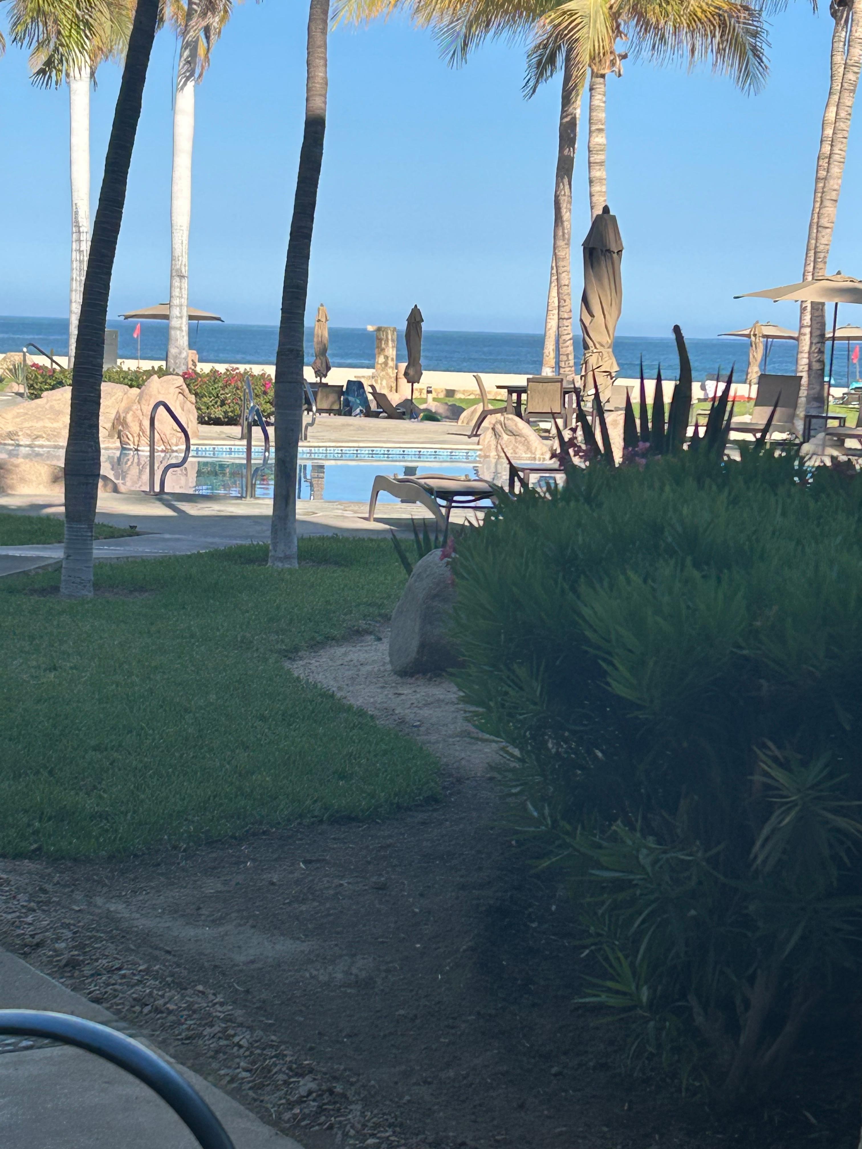 View from the condo. 