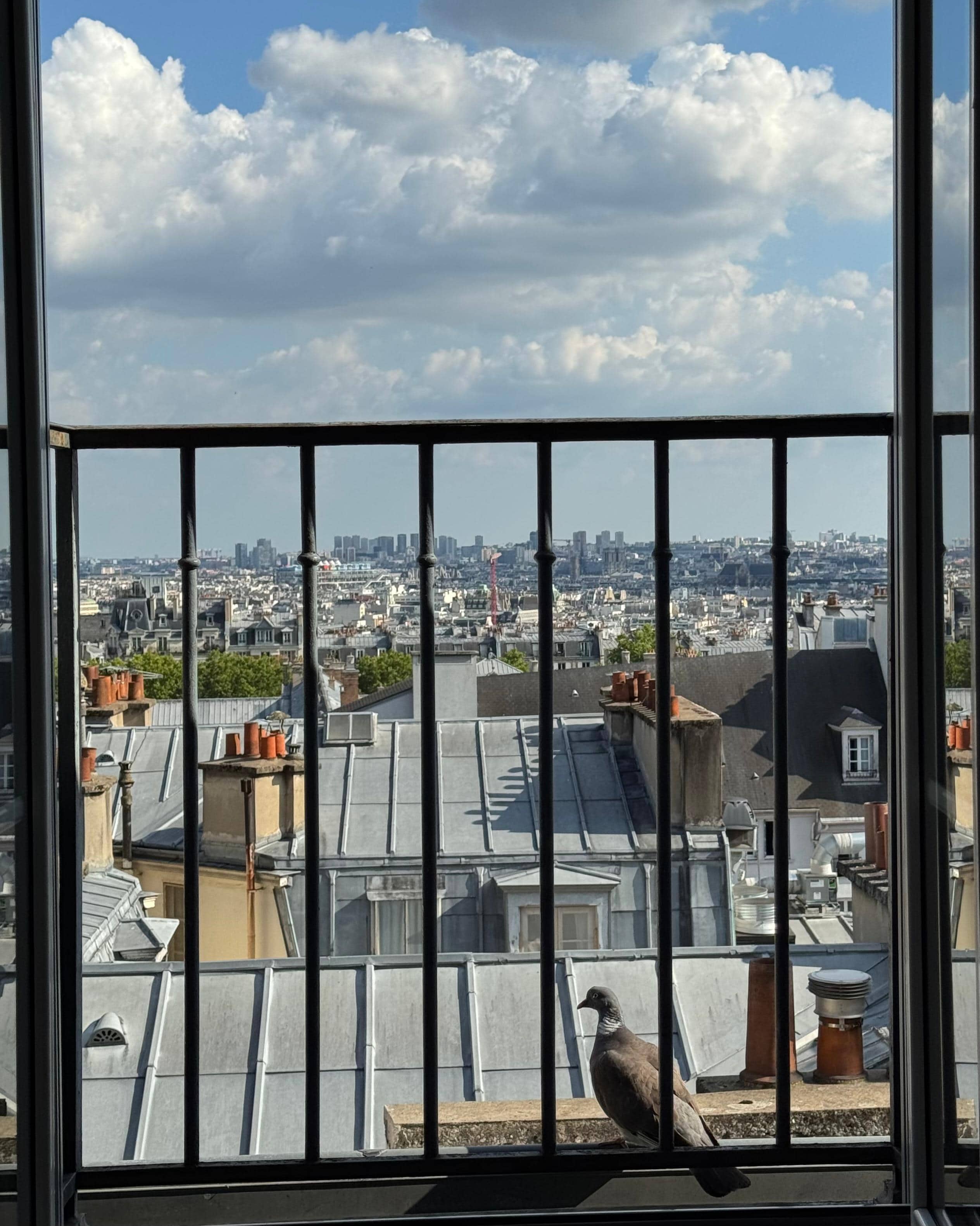 View from living room