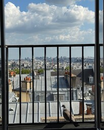 View from living room