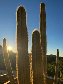 Morning view from the main terrace