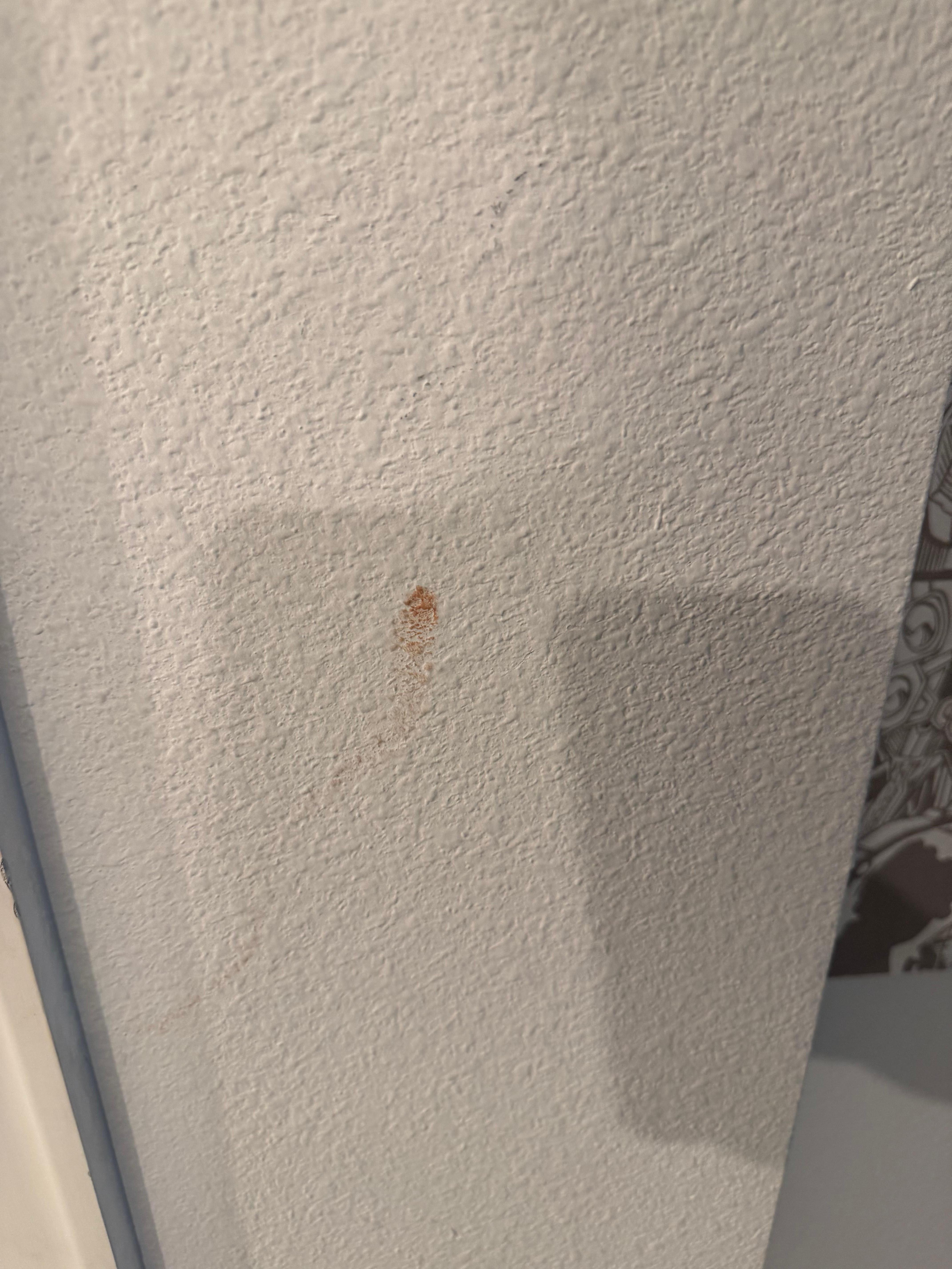 Food and dirt on the walls