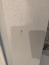 Food and dirt on the walls