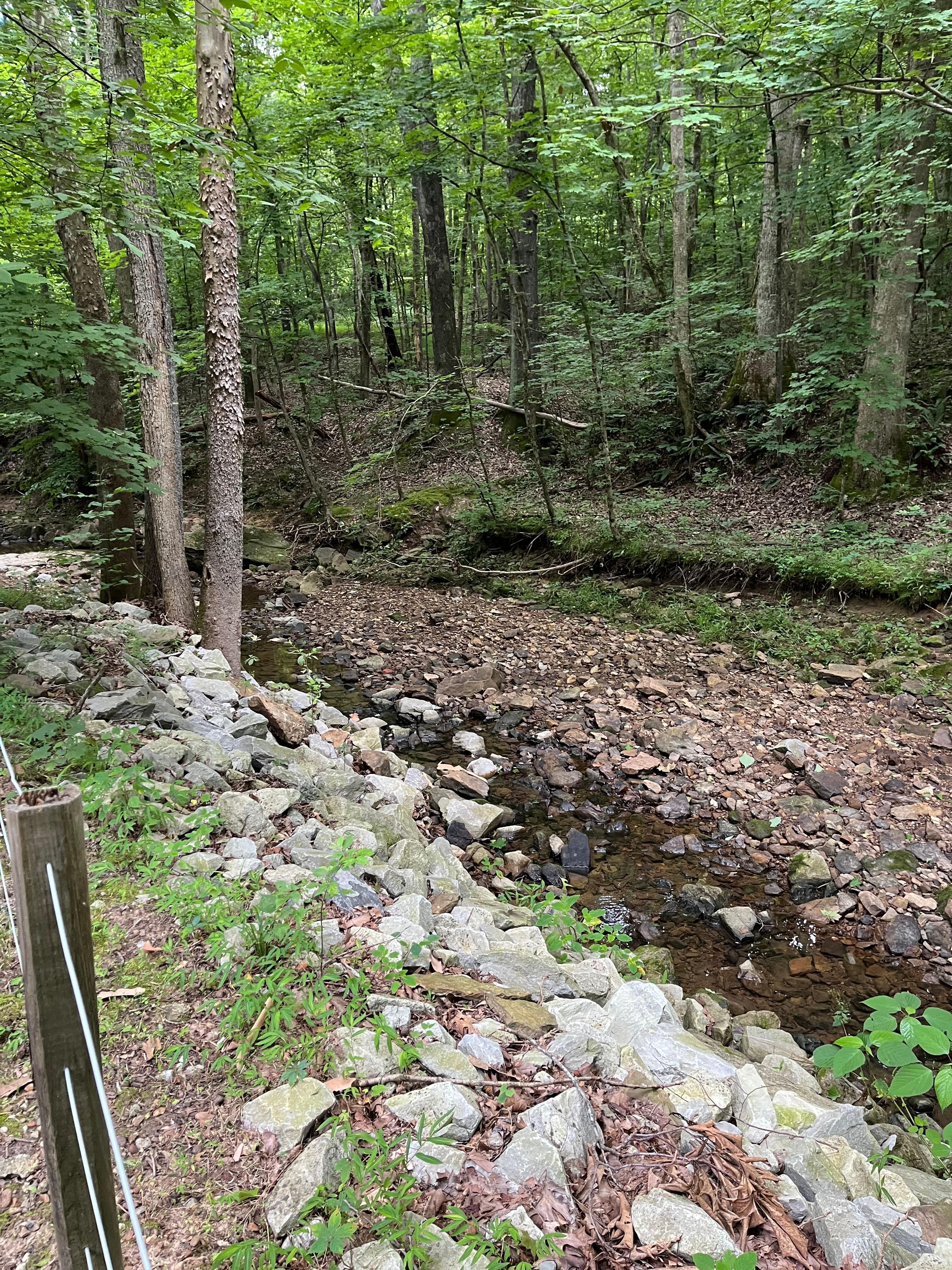 Creek