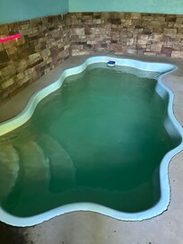 Pool brown