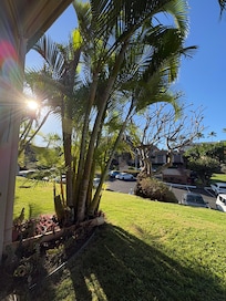 From the lanai looking Mauka