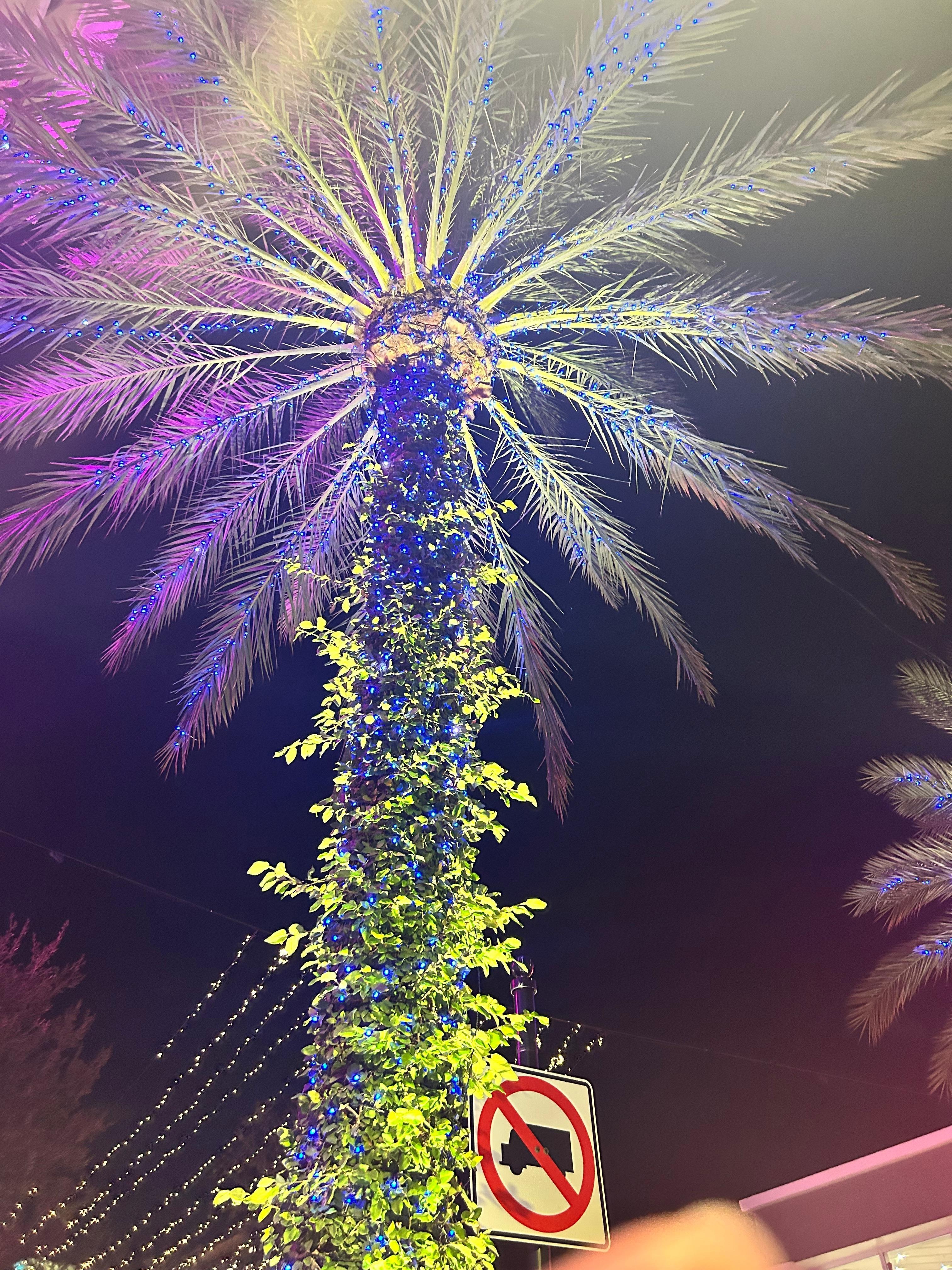 beautiful all lit up!