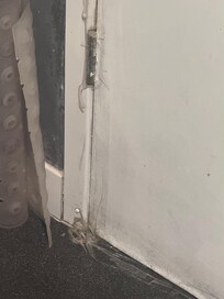 Taped door dirty coming away