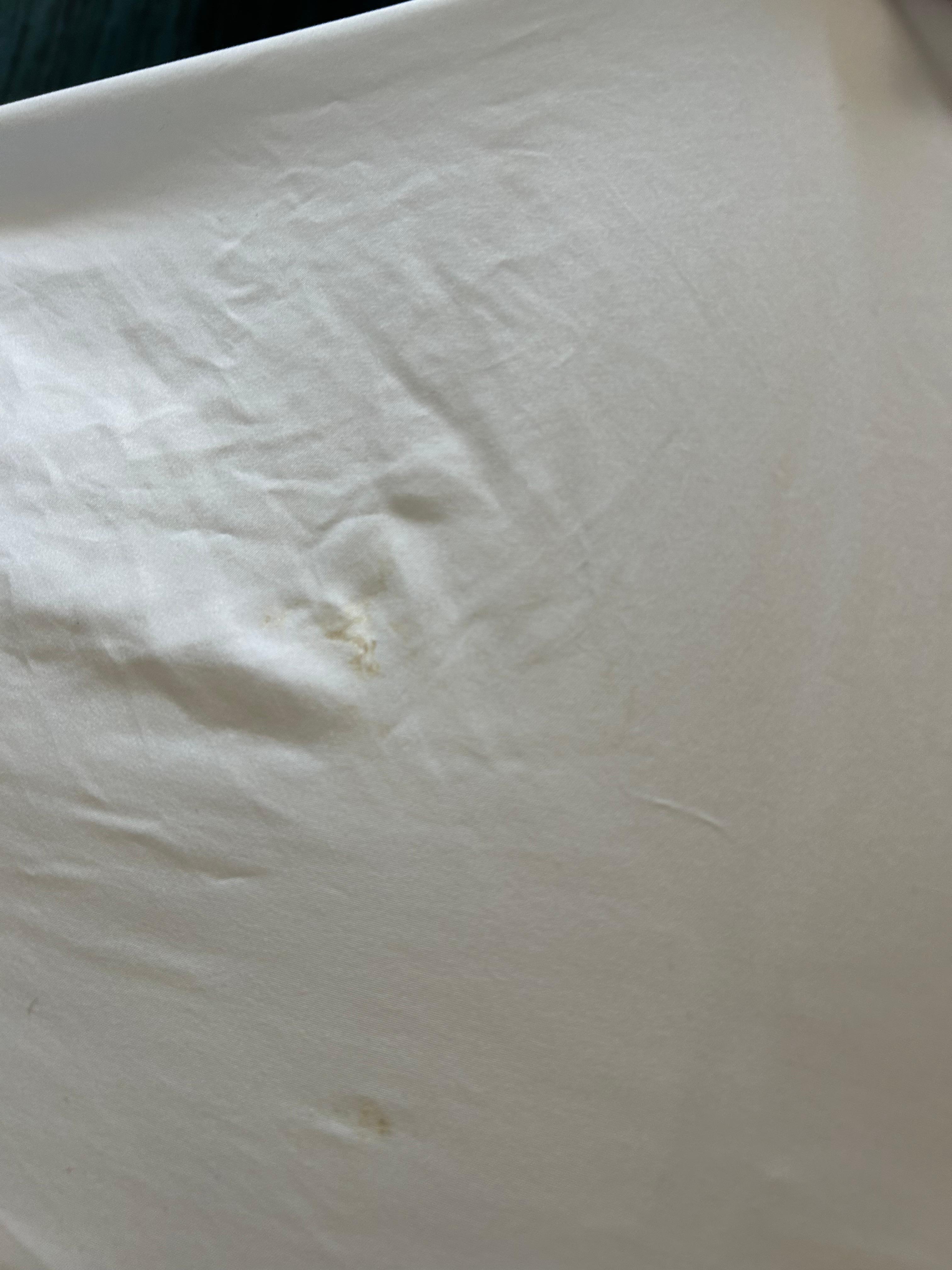 Stains on the bed in the first room