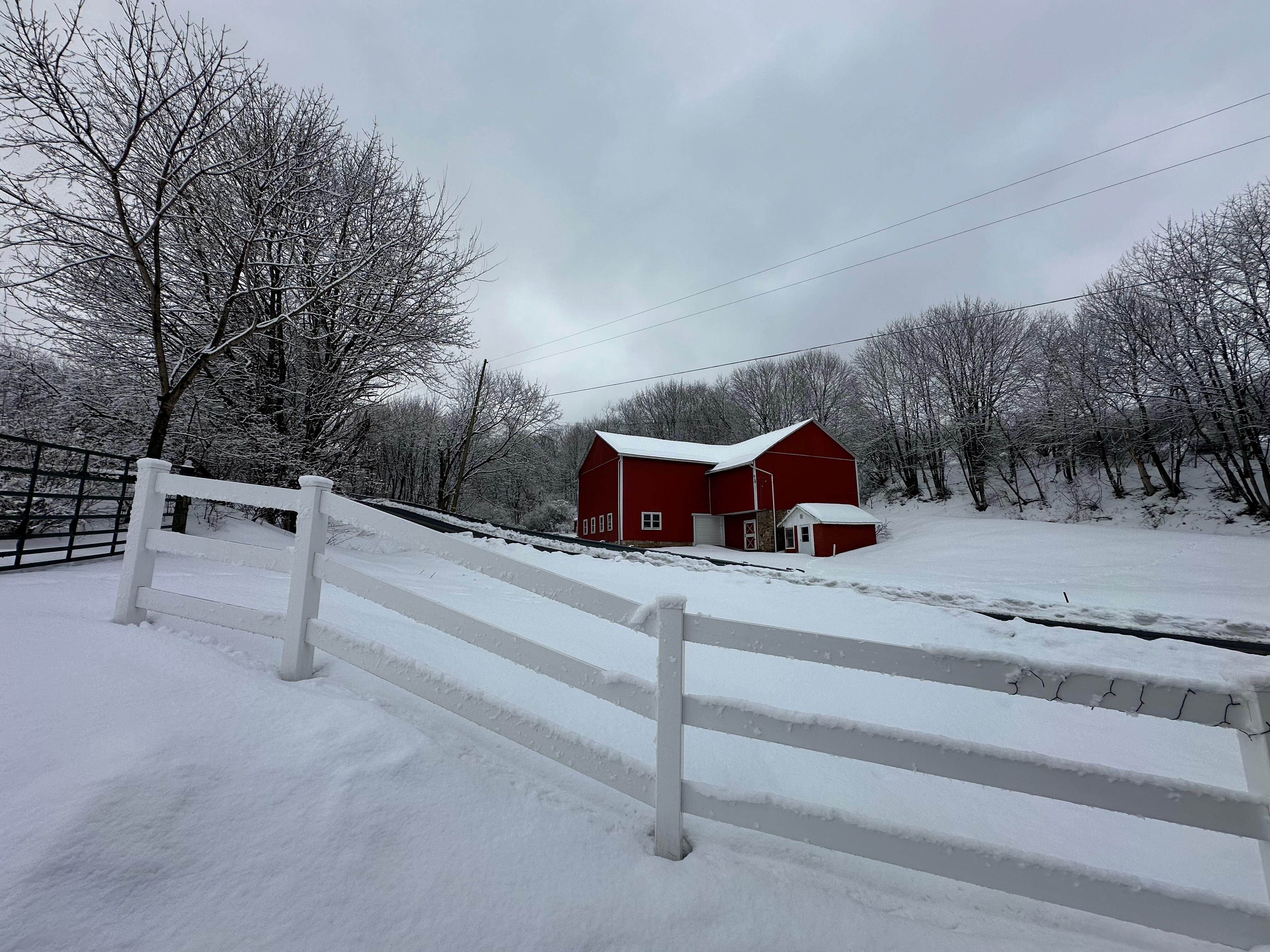 Ron thoughtfully shoveled the walk before we woke to find a beautiful dusting of snow had fallen in the night