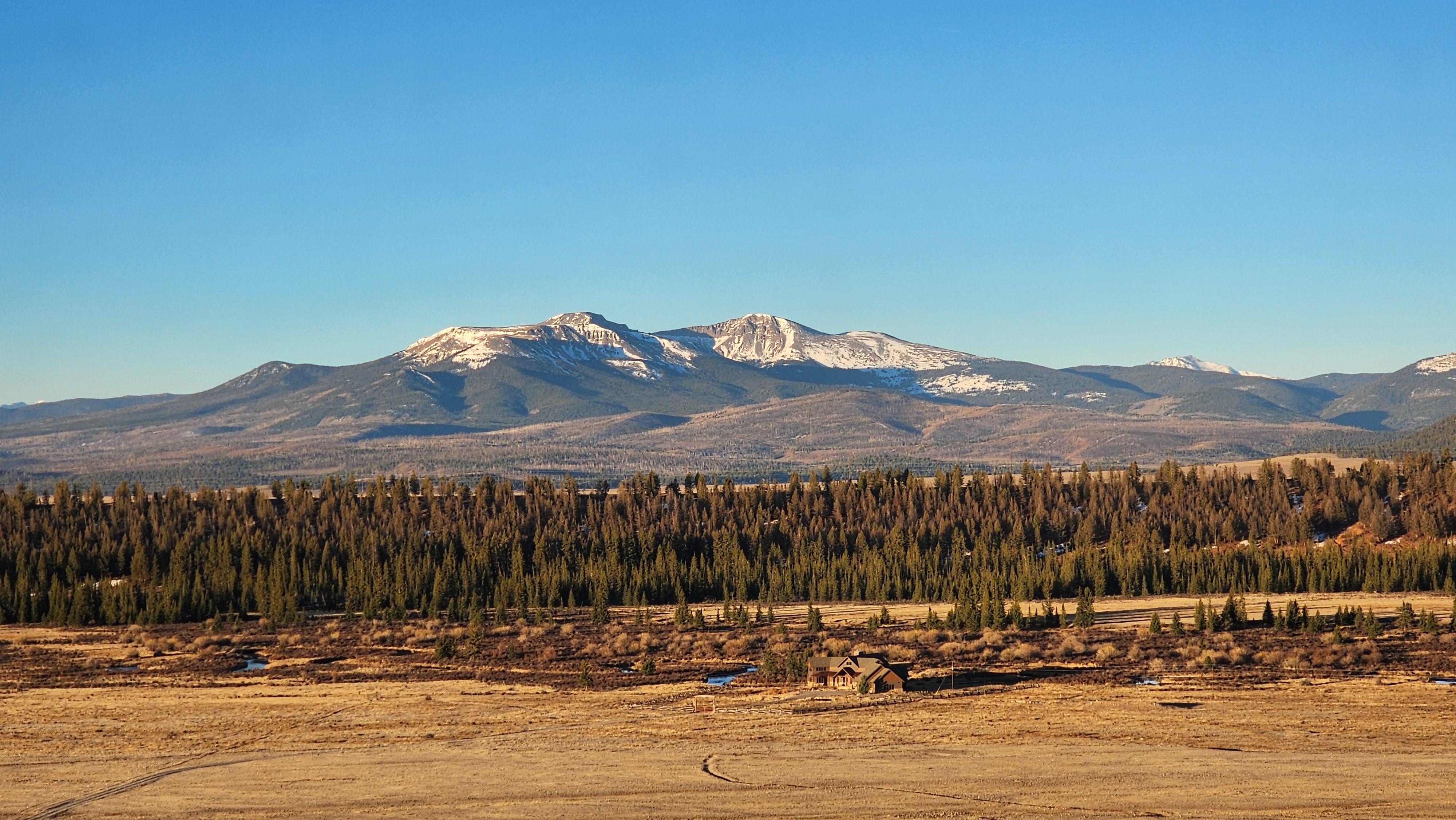 View from the living room
