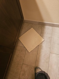 Access door in 223 falls on me