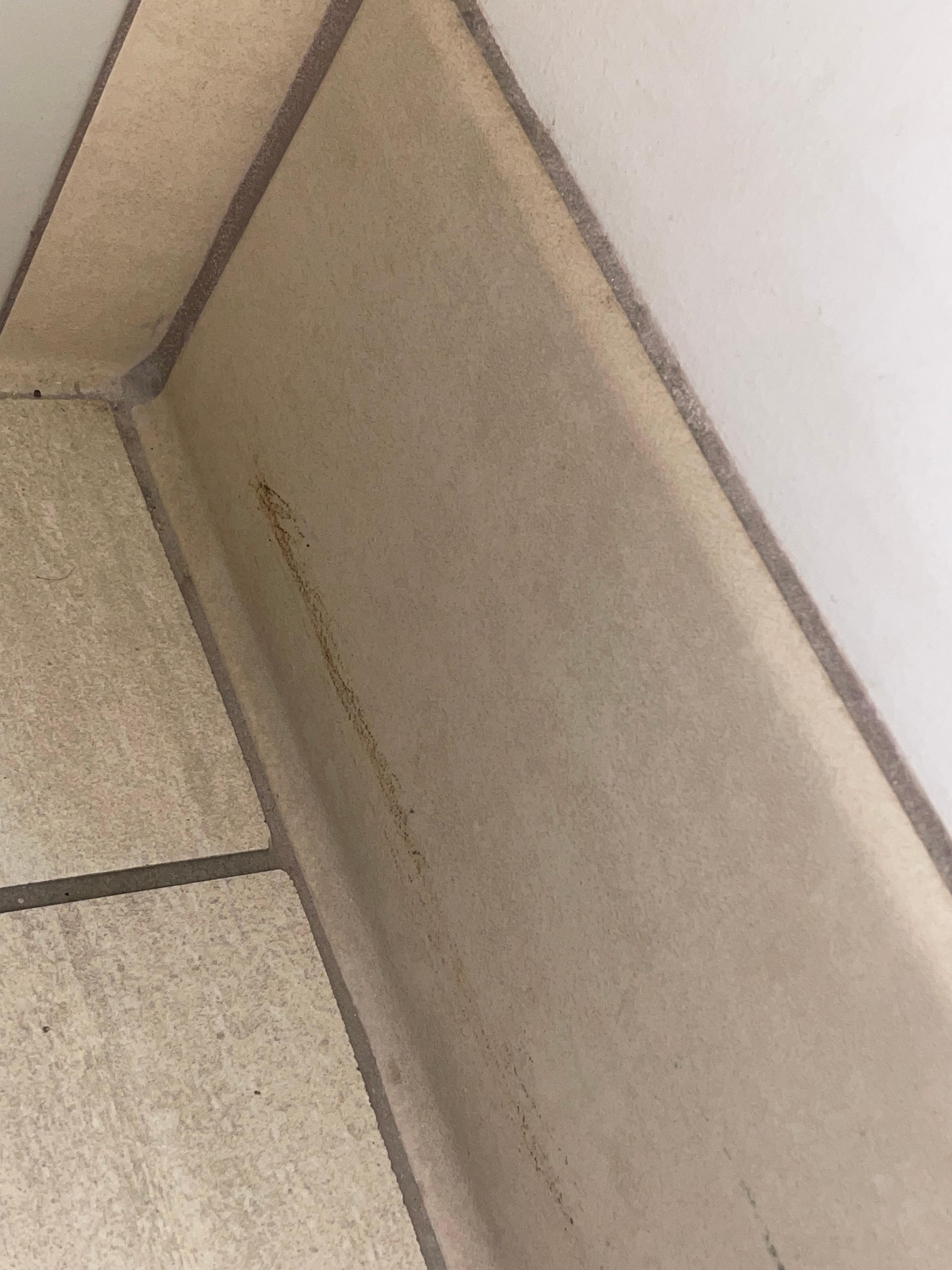 Poop smear in the bathroom